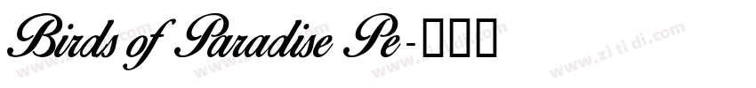 Birds of Paradise Pe字体转换